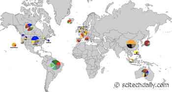 Rapidly Revealing COVID-19’s Journey and Evolution With Genetic Tracing ‘Barcode’
