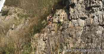 Baby goat rescued from cliff edge after becoming separated from mum
