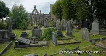 Re-opened cemeteries will be used by people for daily exercise, claim