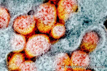 What We Do and Do Not Know About COVID-19’s Infectious Dose and Viral Load