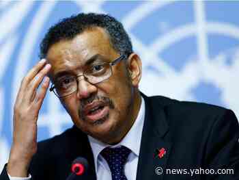 WHO director says politicians who have 'had an easy ride in life' don't understand the gravity of the coronavirus pandemic