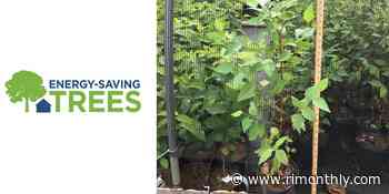How to Get Free Trees For Your Rhode Island Property - Rhode Island Monthly