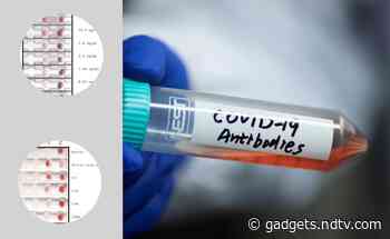 Tata-Backed MIT Startup Develops 15-Minute Test for COVID-19