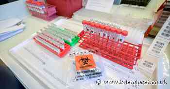 Covid-19 tests to be done 'almost immediately' in north somerset