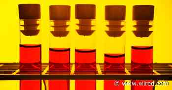 New Covid-19 Antibody Study Results Are In. Are They Right?