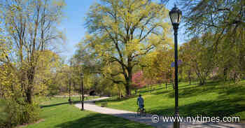 Earth Day’s Gone Digital. Here’s Where to Find It.