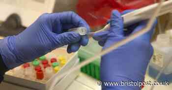 Number who have died of coronavirus in UK rises to 16060 - Bristol Live