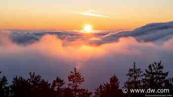 Finanzmarktexperten sorgen für positive Überraschung - Deutsche Welle