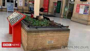 Goose lays eggs at railway station during lockdown