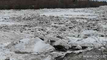 Flooding possible along North Saskatchewan River due to potential ice dams
