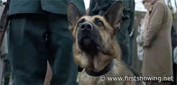 First Trailer for 'Shepherd: The Hero Dog' WWII Holocaust Dog Movie