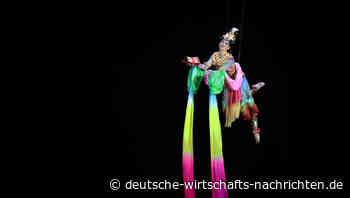 Interessante Gedanken zur medialen Corona-Schlacht: „Ende 2019 kam es in Wuhan zu zwei sonderbaren Anomalien“