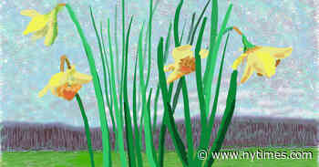 Artists Are Hunkered Down, but Still Nurturing Their Inner Visions