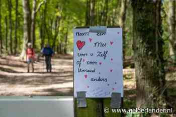 Mysterieuze hartjes voor de passerende wandelaar