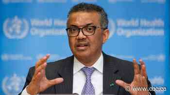 'All available evidence' suggests COVID-19 had animal origin and wasn't produced in lab — WHO