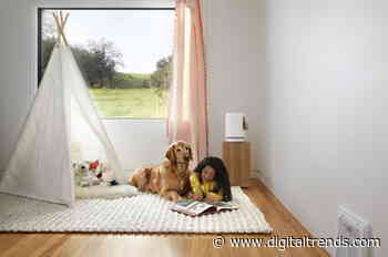 Molekule Air Mini+ is a pint-sized air purifier meant for smaller spaces