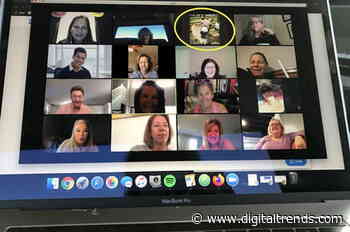 Invite a horse called Eddie to your next Zoom conference