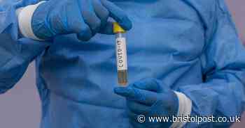 Two further people die from coronavirus in Bristol