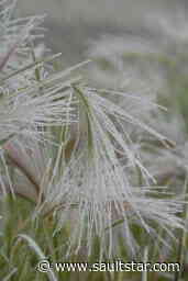 Winter temperatures return