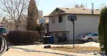 3 pets rescued from house fire in Saskatoon