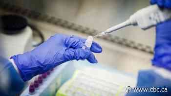 Scientists cut peer-review corners under pressure of COVID-19 pandemic