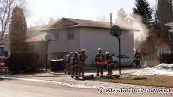 2 cats, reptile rescued from Saskatoon house fire