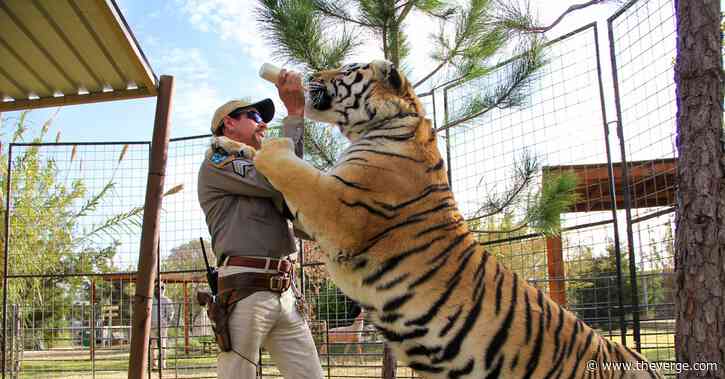 Netflix says Tiger King is as popular as Stranger Things