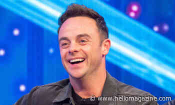 Ant McPartlin shares glimpse inside plush blue-themed living room