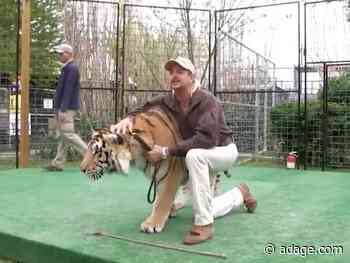 Netflix adds almost 16 Million subscribers, crushing estimates