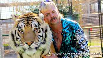 Netflix announces viewing figures for Tiger King and Love Is Blind