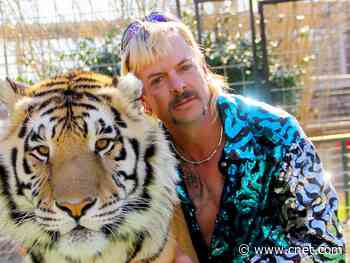 Netflix subscribers surge like crazy as coronavirus traps us at home     - CNET