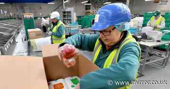 Young entrepreneur, 22, makes ingenious website searching supermarket delivery slots - Mirror Online