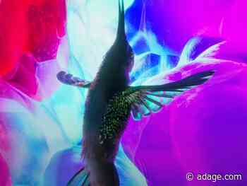 Watch the newest commercials on TV from Apple, P&G, Activia and more