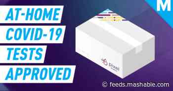 FDA approves first at-home COVID-19 test kit