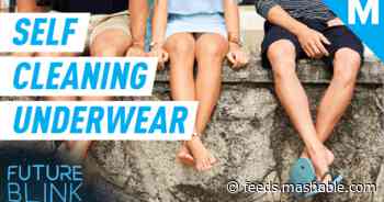 This underwear claims you can wear it for weeks — Future Blink