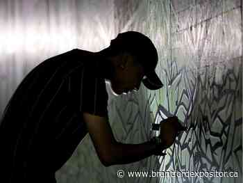 COVID-19: New Edmonton Arts Council grant a $5,000 lifeline for artists - Brantford Expositor