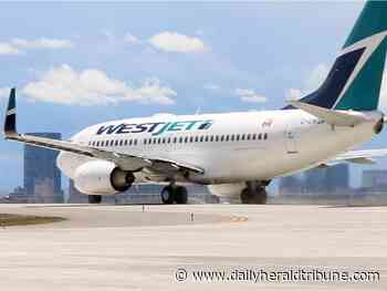 COVID-19: WestJet cancels Grande Prairie-Edmonton flights for next month - Alberta Daily Herald Tribune