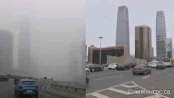 Before and after video shows the impact of the coronavirus lockdown on air quality in various cities around the world