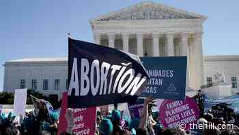 Appeals court reinstates limits on medical abortions in Texas | TheHill - The Hill