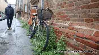 Coronavirus, erba alta, caprioli e gufi. Cesena ritorna campagna - il Resto del Carlino