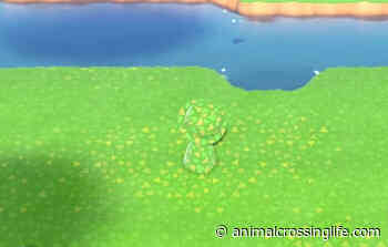 Un utente ha creato un design per camuffarsi con l'erba in Animal Crossing: New Horizons! - Animal Crossing Life