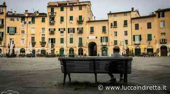 Lucca deserta (e l'erba che cresce). Un'altra domenica di lockdown in città - Foto, Photogallery - Luccaindiretta