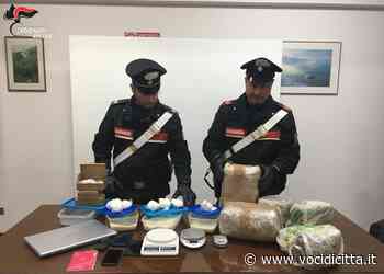 Facebook e whatsapp usati per piazzare 900mila euro tra coca ed erba ~ - Voci di Città