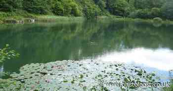 People are meeting friends to swim in South West reservoirs during lockdown