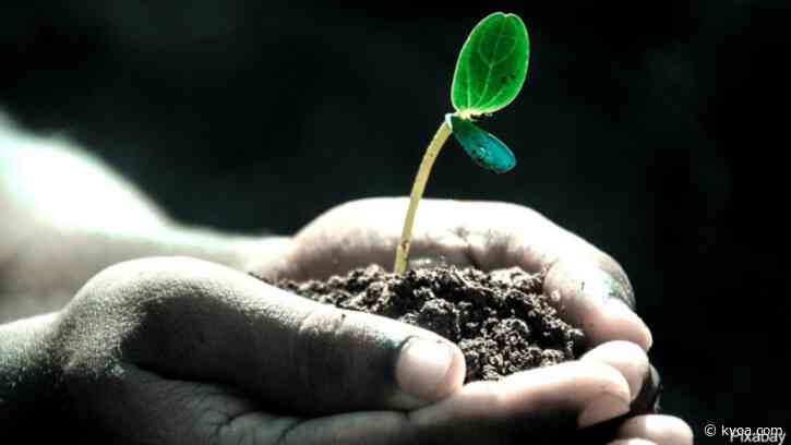 As people stay home, Earth turns wilder and cleaner