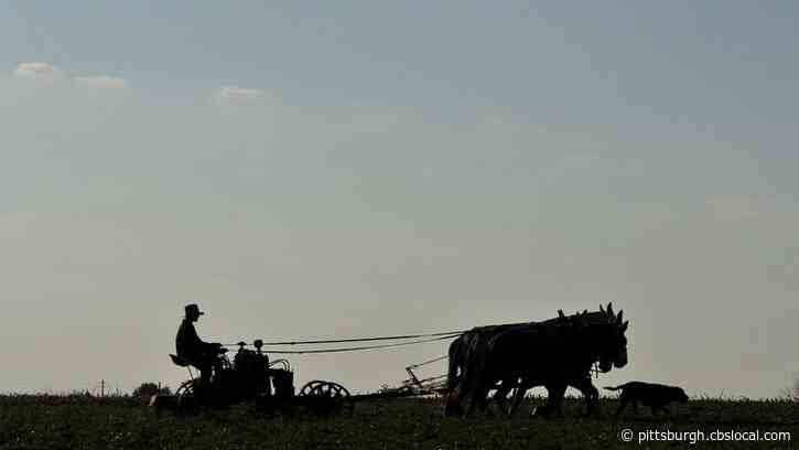 Coronavirus In Ohio: Charges Filed After Police Shut Down Large Amish Party With Over 100 People