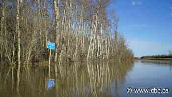 Submerged roads, waterlogged fields: Spring thaw triggers Alberta floods