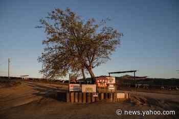 American Farmers Were Already Hurting. Now the Coronavirus Slowdown Might Do Them In