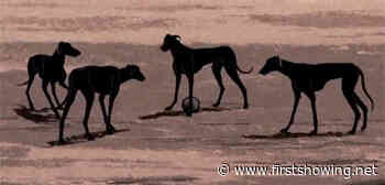 Watch: Dogs Roam Wild in French Animated Short Film 'Peripheria'