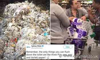 70 percent increase in call outs to plumber blamed on Australian toilet paper shortage
